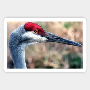 Floridian Crane Sticker